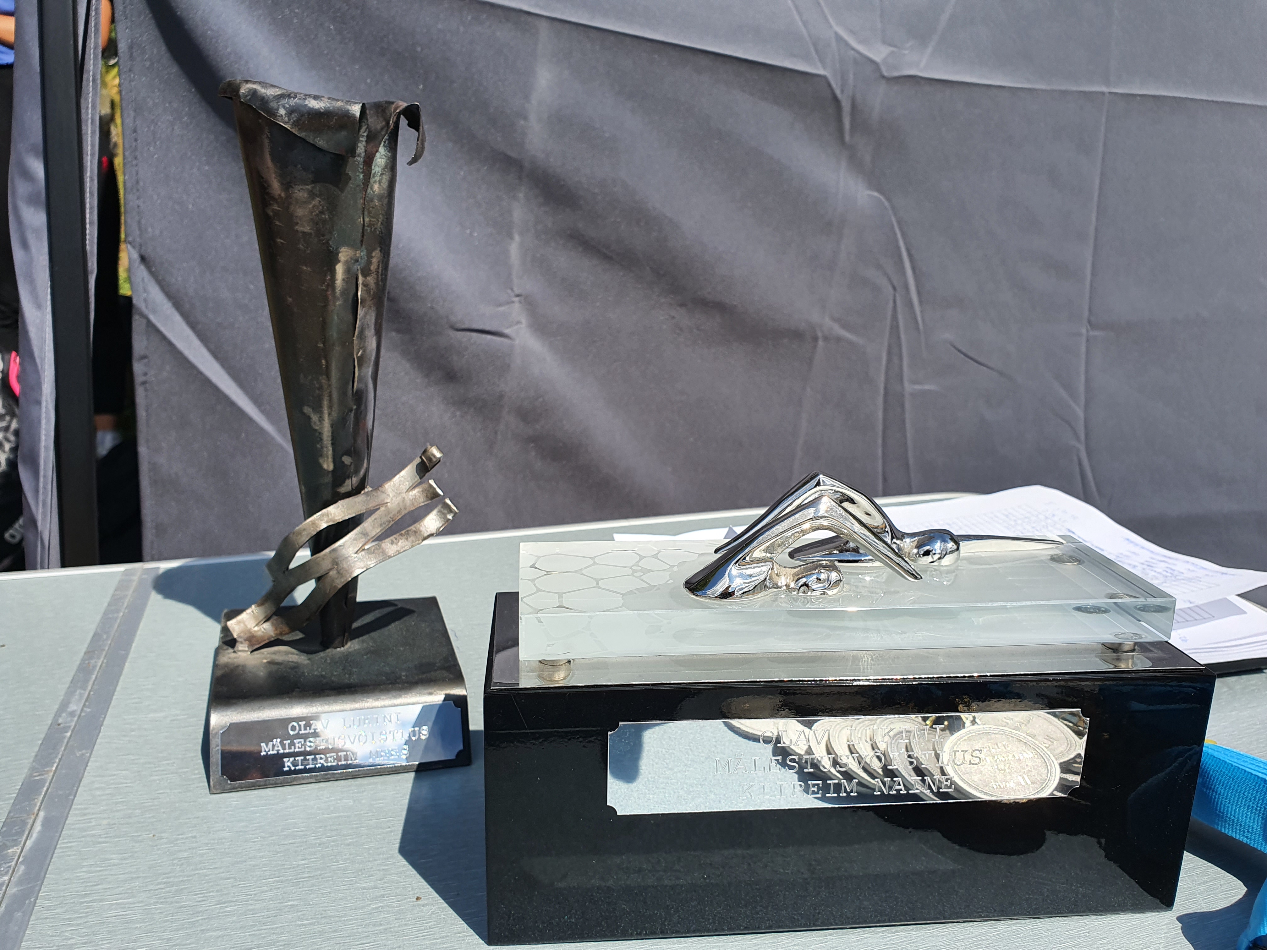 Olav Lukini mälestuskarikad