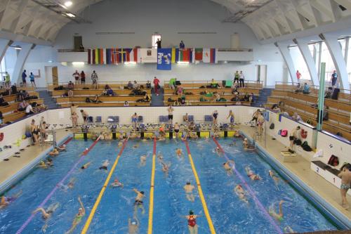 52033940_2987428407949237_7655387624361689088_o