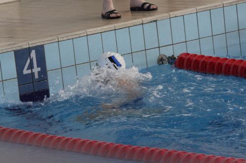 52047555_2985463241479087_7608101473246773248_o