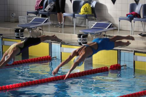 52396198_2985460671479344_516043486005297152_o