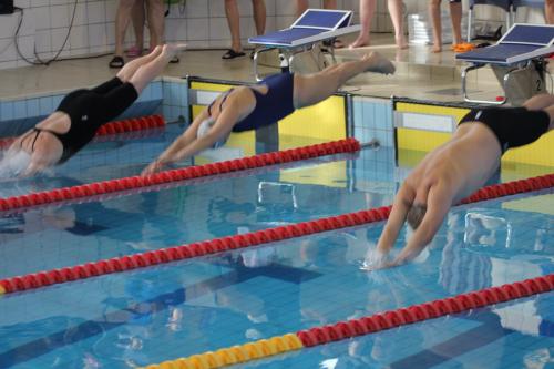 52426205_2987975547894523_7638609480648753152_o