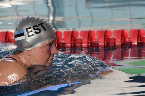 52544879_2988034664555278_4887668840068022272_o