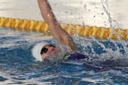 52806668_2985488114809933_7502881783881400320_o