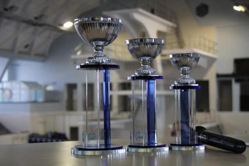 28164970 2271705242854894 2782566526289128785 o