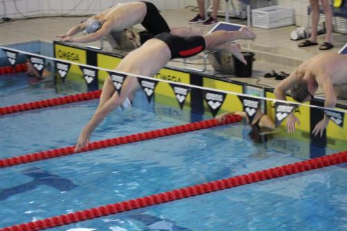 28165174 2269812899710795 8953044689857863733 o