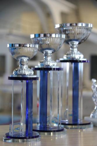 Voistkondlik karikas