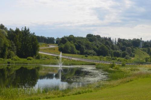 66653682_2380754318671239_6565042247069335552_o